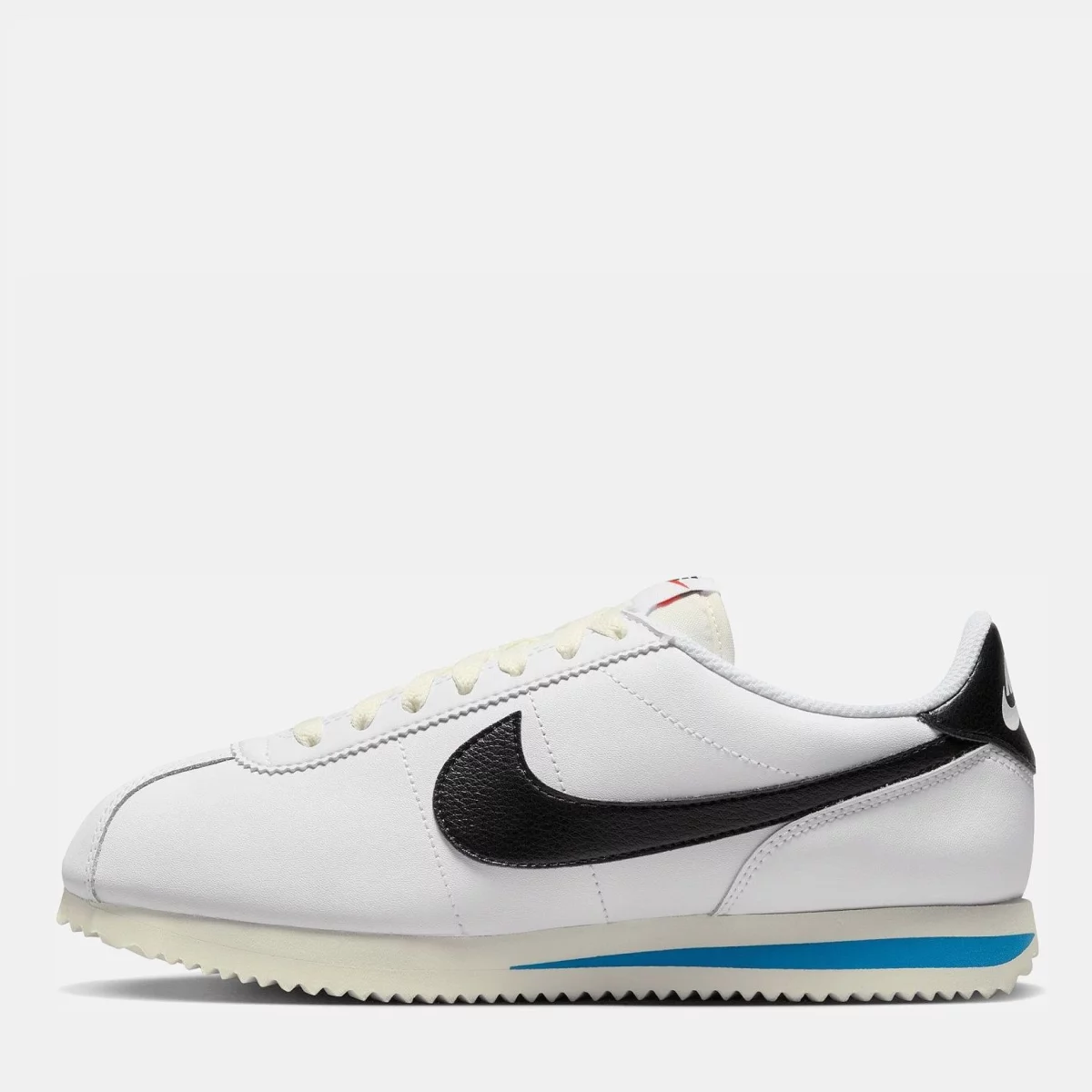 676010417c56fAURORA_DN1791_100_PHSLH000_2000